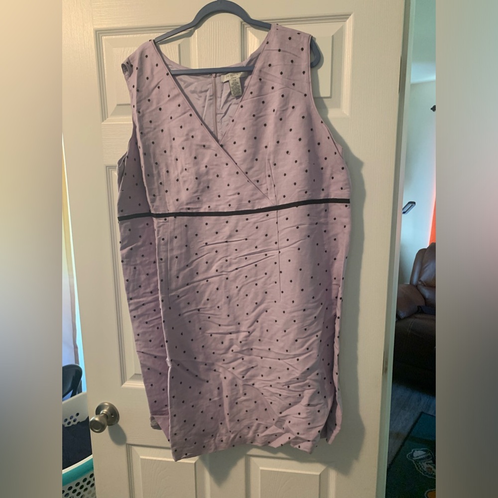 Paraphrase Black Sweater And Lavender Polka Dot Dress 24W